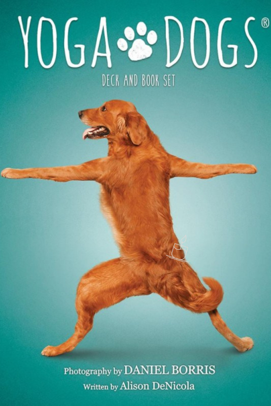 Billede af Yoga Dogs - 44 hunde viser yoga-stillinger