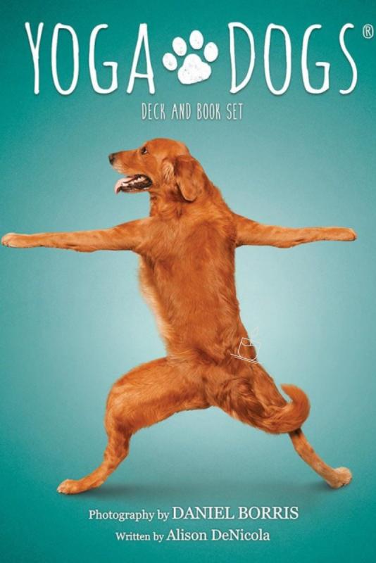Yoga Dogs - krystal.dk