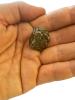 Ægte meteorsten fra Campo del Cielo i Argentina 29,53 gram - Krystal.dk