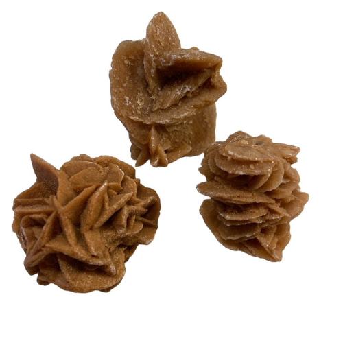 Ørkenroser 3-6 cm